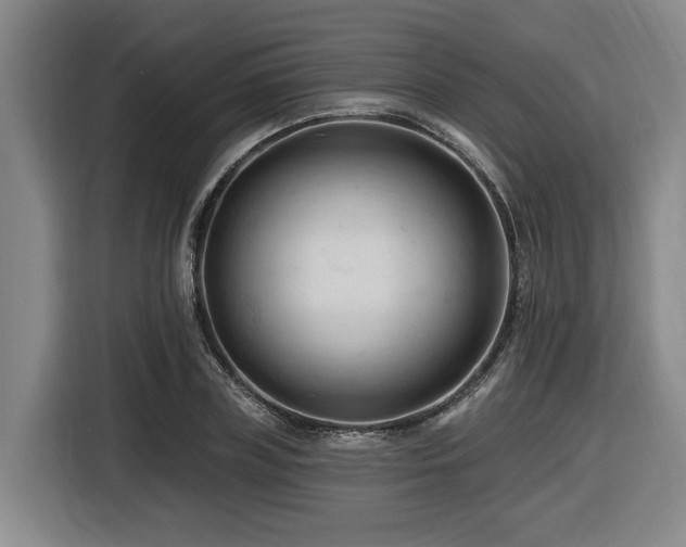X0000116610835200912111132