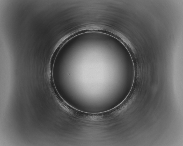 X0000116610837200912111132