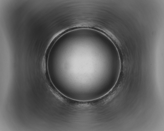 X0000116610838200912111132