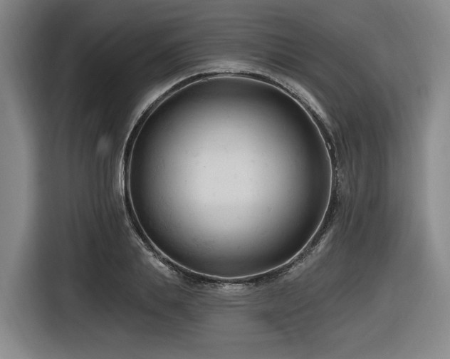 X0000116610839200912111132