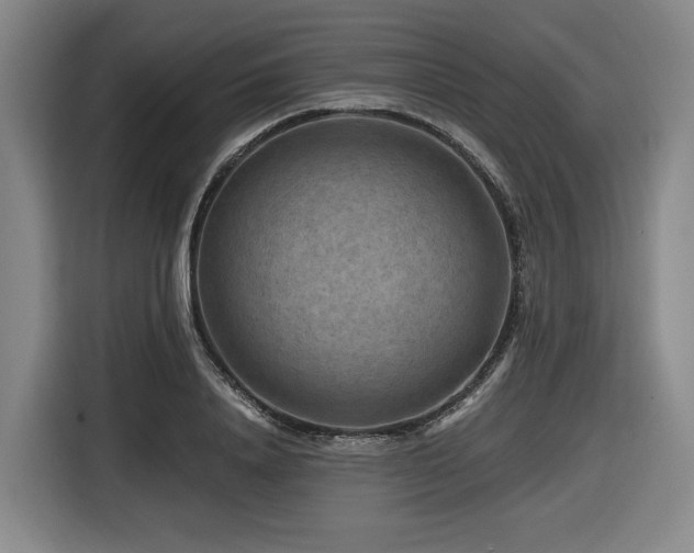 X0000116610840200912111132