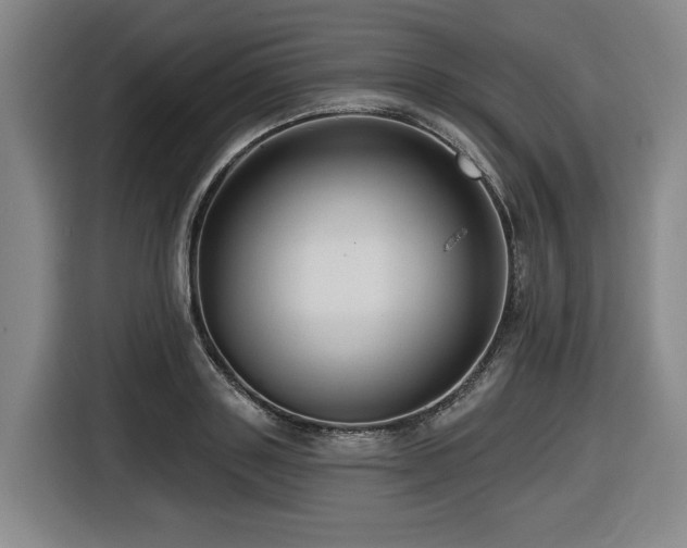 X0000116610843200912111132
