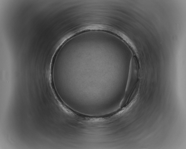 X0000116610845200912111132