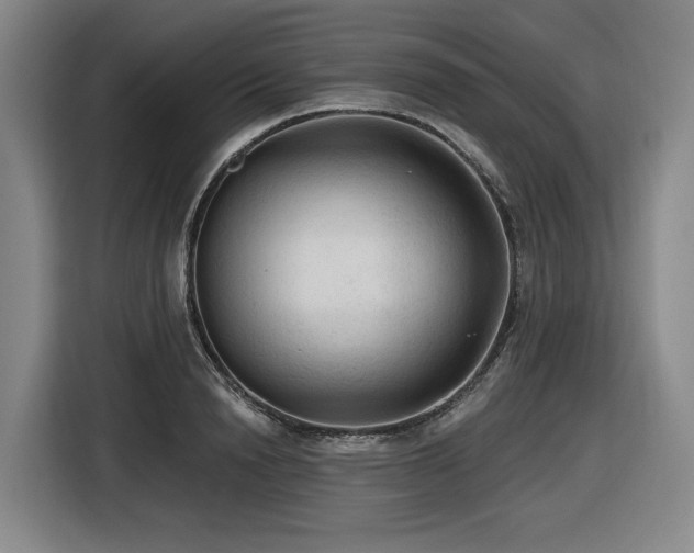 X0000116610846200912111132