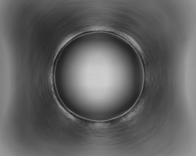 X0000116610847200912111132