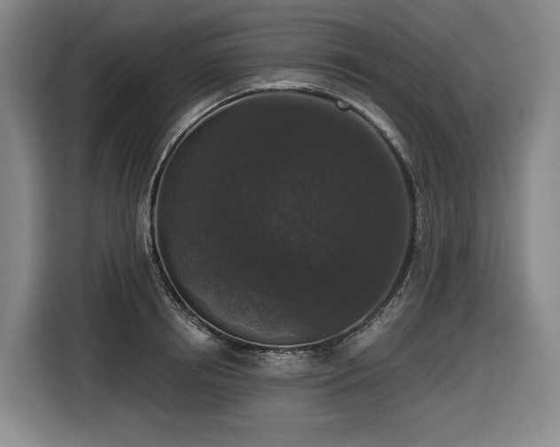 X0000116610850200912111132