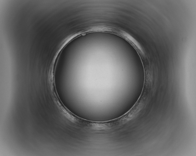 X0000116610852200912111132