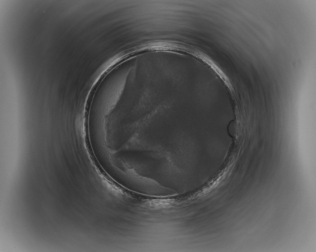 X0000116610853200912111132
