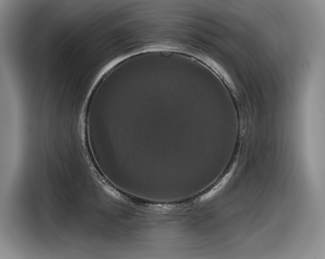 X0000116610854200912111132