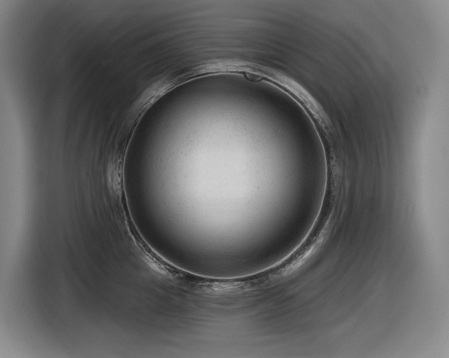 X0000116610857200912111133