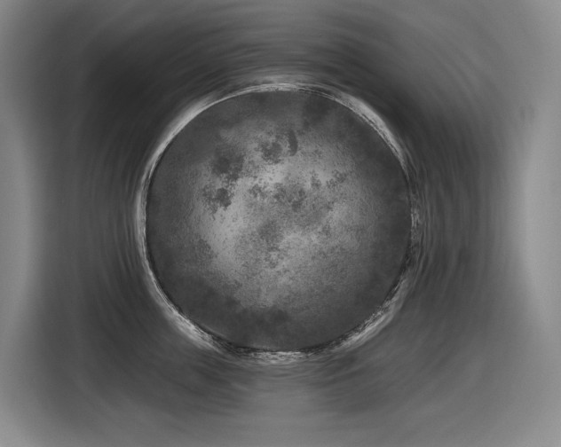 X0000116610859200912111133