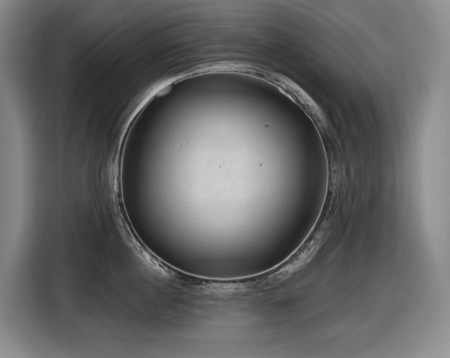 X0000116610860200912111133