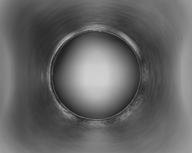 X0000116610861200912111133