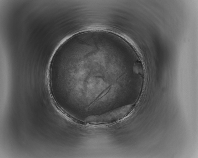X0000116610864200912111133
