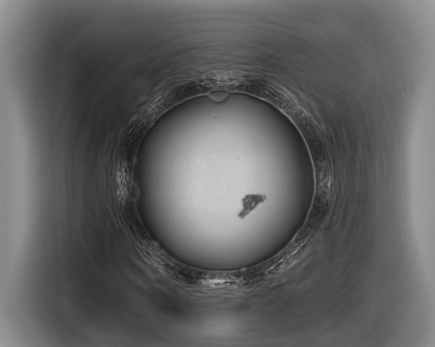 X0000116610866200912111132