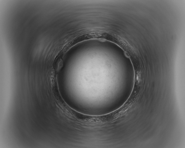 X0000116610867200912111132