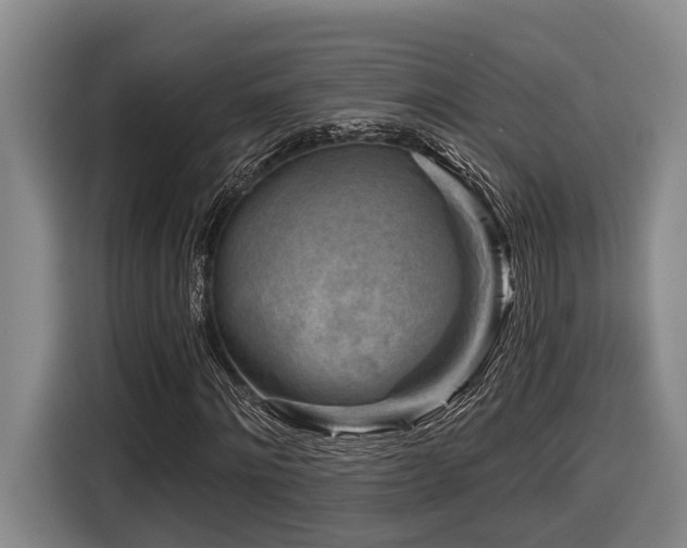 X0000116610868200912111132