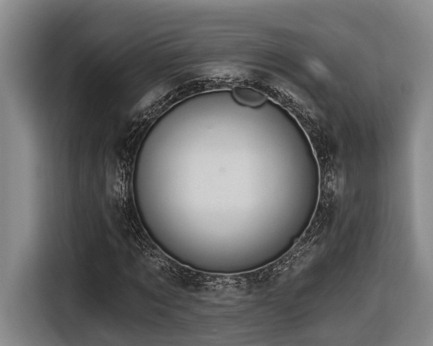 X0000116610869200912111132