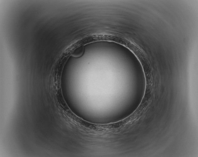 X0000116610870200912111132