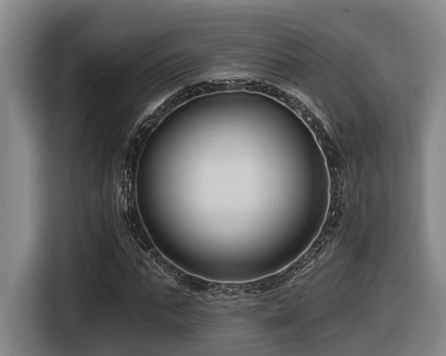 X0000116610871200912111132