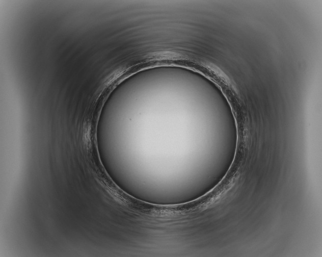 X0000116610873200912111132