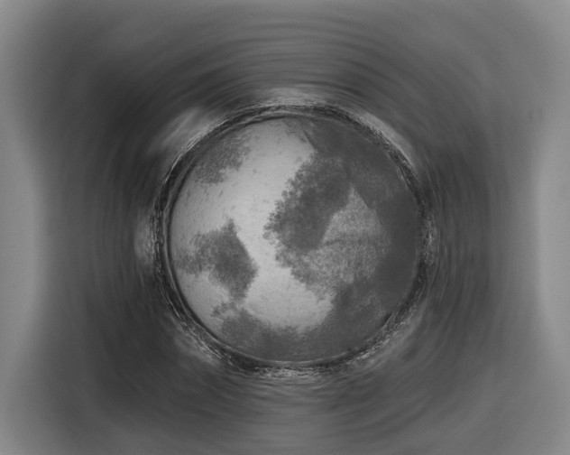 X0000116610874200912111132