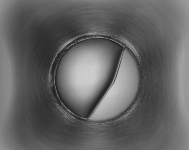 X0000116610876200912111132