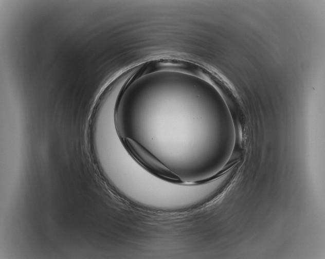 X0000116610877200912111132
