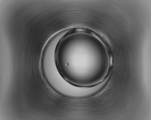 X0000116610880200912111132
