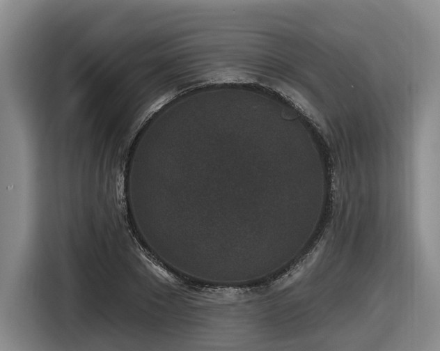 X0000116610881200912111132