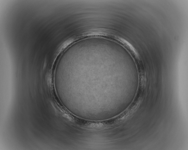 X0000116610882200912111132