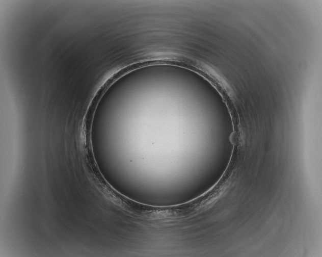 X0000116610883200912111132