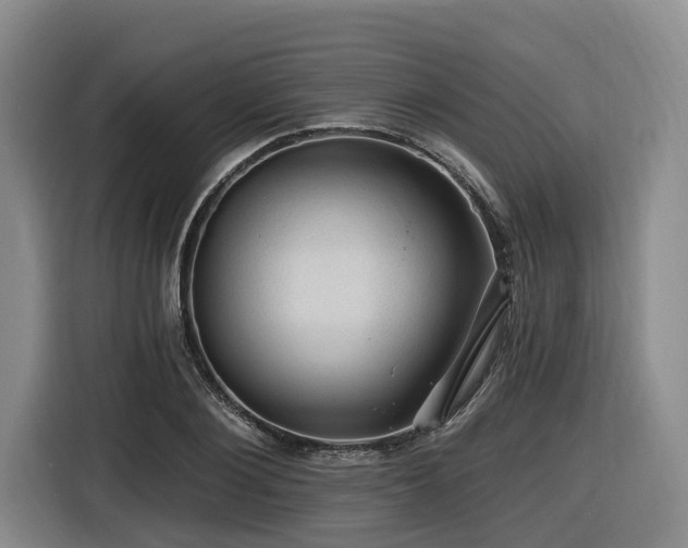 X0000116610884200912111132