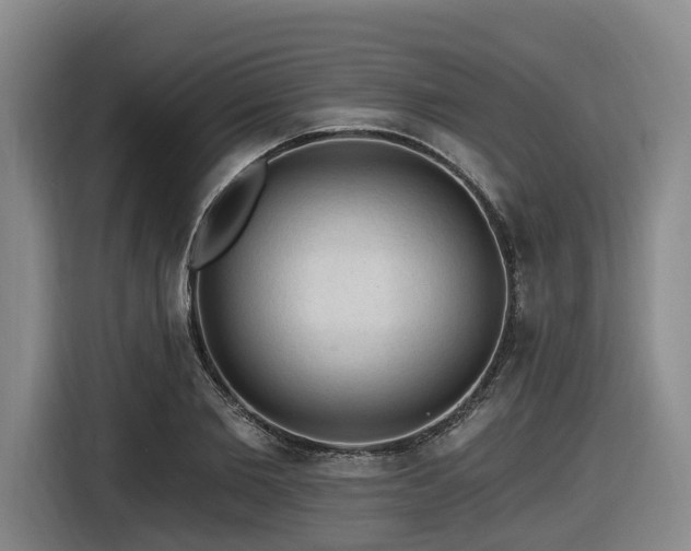 X0000116610885200912111132