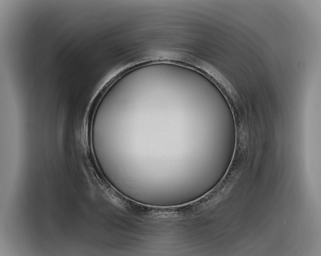 X0000116610886200912111132