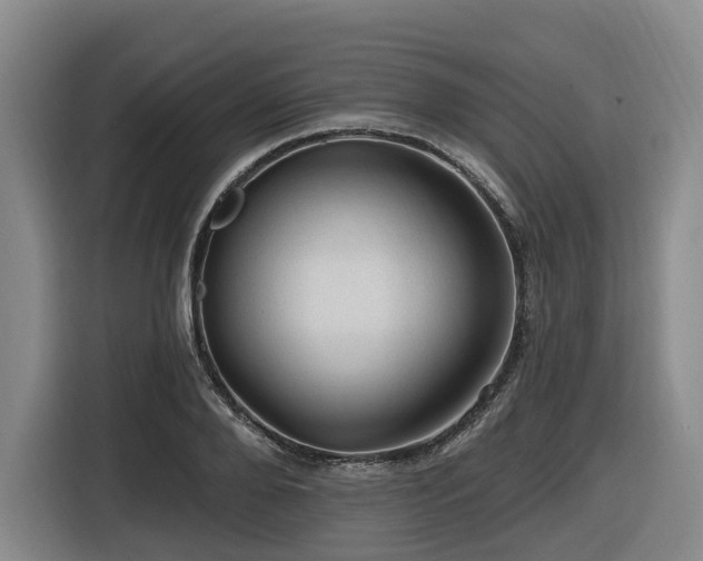 X0000116610888200912111132