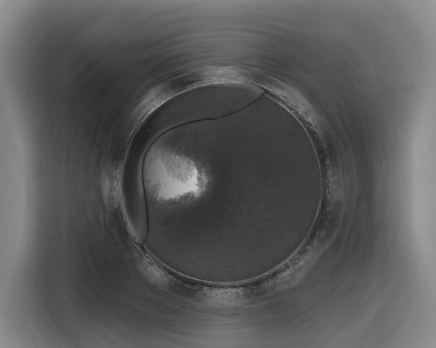 X0000116610889200912111132