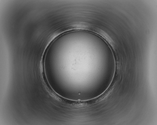 X0000116610891200912111132