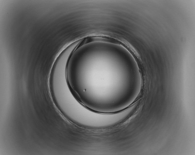 X0000116610893200912111132