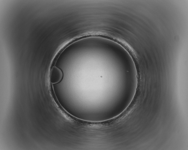 X0000116610894200912111132