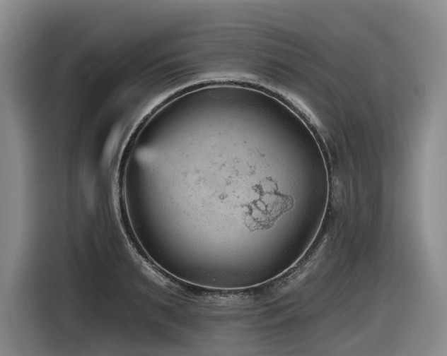 X0000116610895200912111132