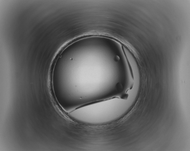 X0000116610896200912111132