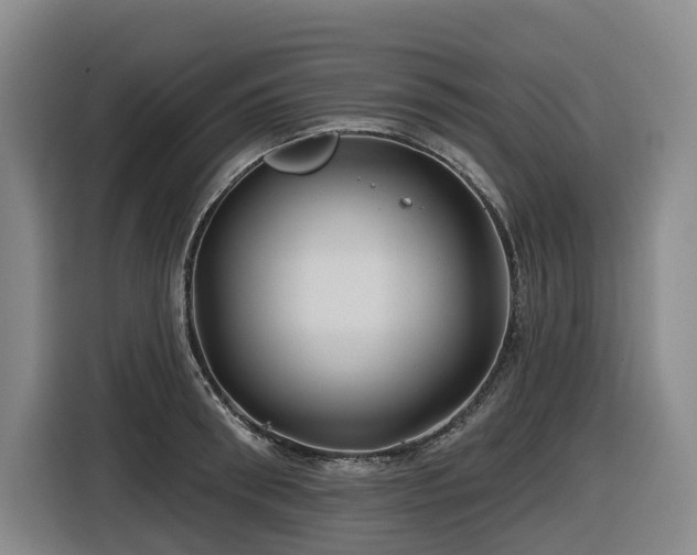 X0000116610898200912111132