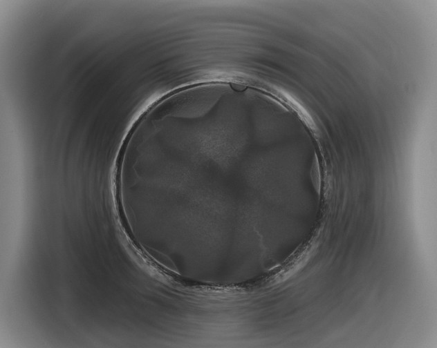 X0000116610899200912111132