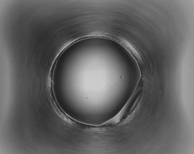 X0000116610900200912111132