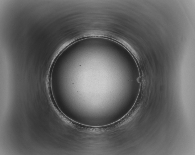 X0000116610901200912111132