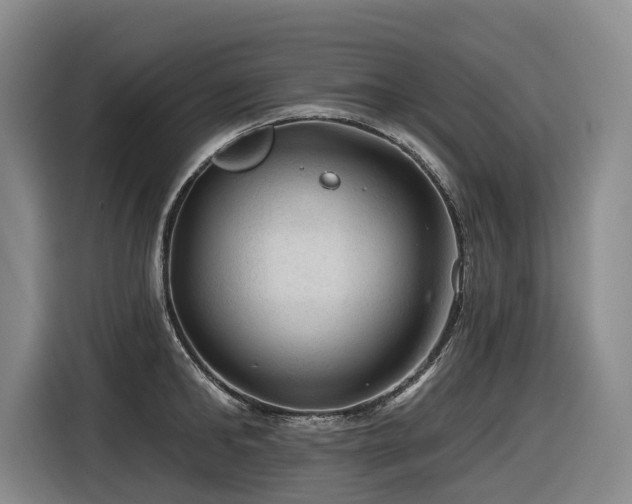 X0000116610902200912111132