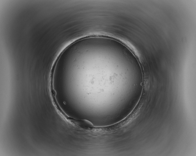 X0000116610903200912111131