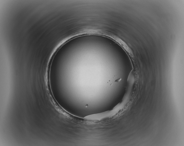 X0000116610904200912111131