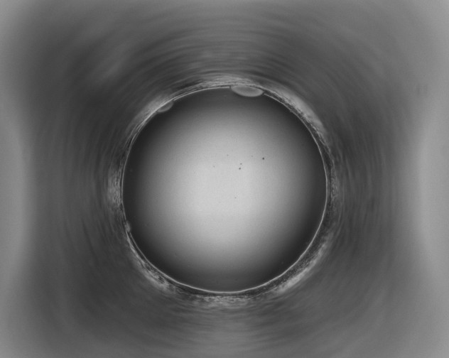X0000116610905200912111131